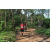 Team 323 / Raid Amazones Sri Lanka 2023 - J3 Bike - Run