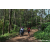 Team 302 / Raid Amazones Sri Lanka 2023 - J3 Bike - Run