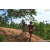 Team 51 / Raid Amazones Sri Lanka 2023 - J3 Bike - Run
