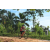 Team 87 / Raid Amazones Sri Lanka 2023 - J3 Bike - Run
