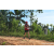 Team 70 / Raid Amazones Sri Lanka 2023 - J3 Bike - Run