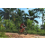 Team 70 / Raid Amazones Sri Lanka 2023 - J3 Bike - Run
