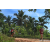 Team 29 / Raid Amazones Sri Lanka 2023 - J3 Bike - Run