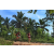 Team 04 / Raid Amazones Sri Lanka 2023 - J3 Bike - Run