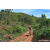 Team 21 / Raid Amazones Sri Lanka 2023 - J3 Bike - Run