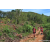 Team 43 / Raid Amazones Sri Lanka 2023 - J3 Bike - Run