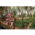 Team 07 / Raid Amazones Sri Lanka 2023 - J3 Bike - Run