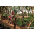 Team 10 / Raid Amazones Sri Lanka 2023 - J3 Bike - Run