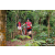 Team 49 / Raid Amazones Sri Lanka 2023 - J3 Bike - Run