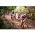 Team 81 / Raid Amazones Sri Lanka 2023 - J3 Bike - Run