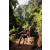 Team 70 / Raid Amazones Sri Lanka 2023 - J3 Bike - Run