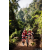 Team 21 / Raid Amazones Sri Lanka 2023 - J3 Bike - Run