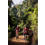 Team 86 / Raid Amazones Sri Lanka 2023 - J3 Bike - Run
