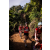 Team 43 / Raid Amazones Sri Lanka 2023 - J3 Bike - Run