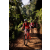 Team 37 / Raid Amazones Sri Lanka 2023 - J3 Bike - Run
