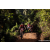Team 60 / Raid Amazones Sri Lanka 2023 - J3 Bike - Run