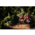 Team 12 / Raid Amazones Sri Lanka 2023 - J3 Bike - Run