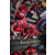 Team 47 / Raid Amazones Sri Lanka 2023 - J4 Chasse au Tresor