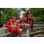 Team 310 / Raid Amazones Sri Lanka 2023 - J4 Chasse au Tresor