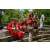 Team 310 / Raid Amazones Sri Lanka 2023 - J4 Chasse au Tresor