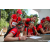 Team 68 / Raid Amazones Sri Lanka 2023 - J4 Chasse au Tresor