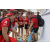 Team 307 / Raid Amazones Sri Lanka 2023 - J4 Chasse au Tresor