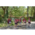 Team 322 / Raid Amazones Sri Lanka 2023 - J4 Chasse au Tresor