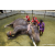Team 29 / Raid Amazones Sri Lanka 2023 - J4 Chasse au Tresor