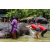 Team 34 / Raid Amazones Sri Lanka 2023 - J4 Chasse au Tresor