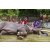 Team 14 / Raid Amazones Sri Lanka 2023 - J4 Chasse au Tresor