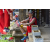 Team 336 / Raid Amazones Sri Lanka 2023 - J4 Chasse au Tresor