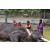 Team 81 / Raid Amazones Sri Lanka 2023 - J4 Chasse au Tresor