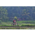 Team 324 / Raid Amazones Sri Lanka 2023 - J5 VTT