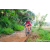 Team 314 / Raid Amazones Sri Lanka 2023 - J5 VTT
