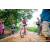 Team 04 / Raid Amazones Sri Lanka 2023 - J5 VTT