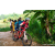 Team 12 / Raid Amazones Sri Lanka 2023 - J5 VTT