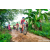 Team 87 / Raid Amazones Sri Lanka 2023 - J5 VTT