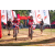 Team 302 / Raid Amazones Sri Lanka 2023 - J5 VTT