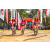 Team 333 / Raid Amazones Sri Lanka 2023 - J5 VTT