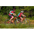 Team 38 / Raid Amazones Sri Lanka 2023 - J5 VTT