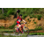 Team 90 / Raid Amazones Sri Lanka 2023 - J5 VTT