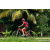 Team 09 / Raid Amazones Sri Lanka 2023 - J5 VTT