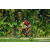 Team 87 / Raid Amazones Sri Lanka 2023 - J5 VTT