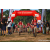 Team 34 / Raid Amazones Sri Lanka 2023 - J5 VTT
