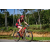 Team 301 / Raid Amazones Sri Lanka 2023 - J5 VTT