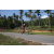 Team 22 / Raid Amazones Sri Lanka 2023 - J5 VTT