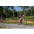 Team 51 / Raid Amazones Sri Lanka 2023 - J5 VTT