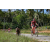 Team 323 / Raid Amazones Sri Lanka 2023 - J5 VTT