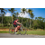 Team 60 / Raid Amazones Sri Lanka 2023 - J5 VTT
