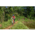 Team 313 / Raid Amazones Sri Lanka 2023 - J5 VTT